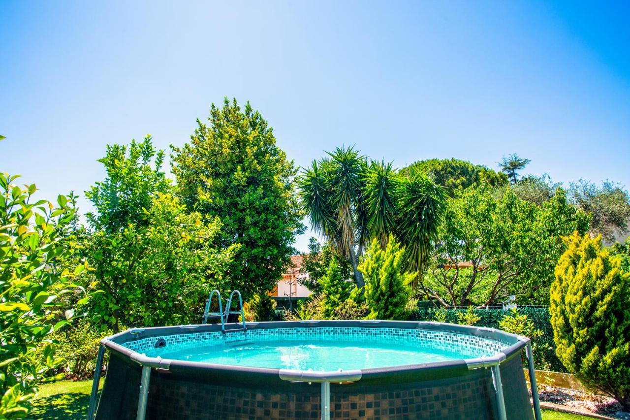 Villa Provence-Spa&Bbq Centre Au Calme- Jardin - Terrasses La Valette-du-Var Zewnętrze zdjęcie